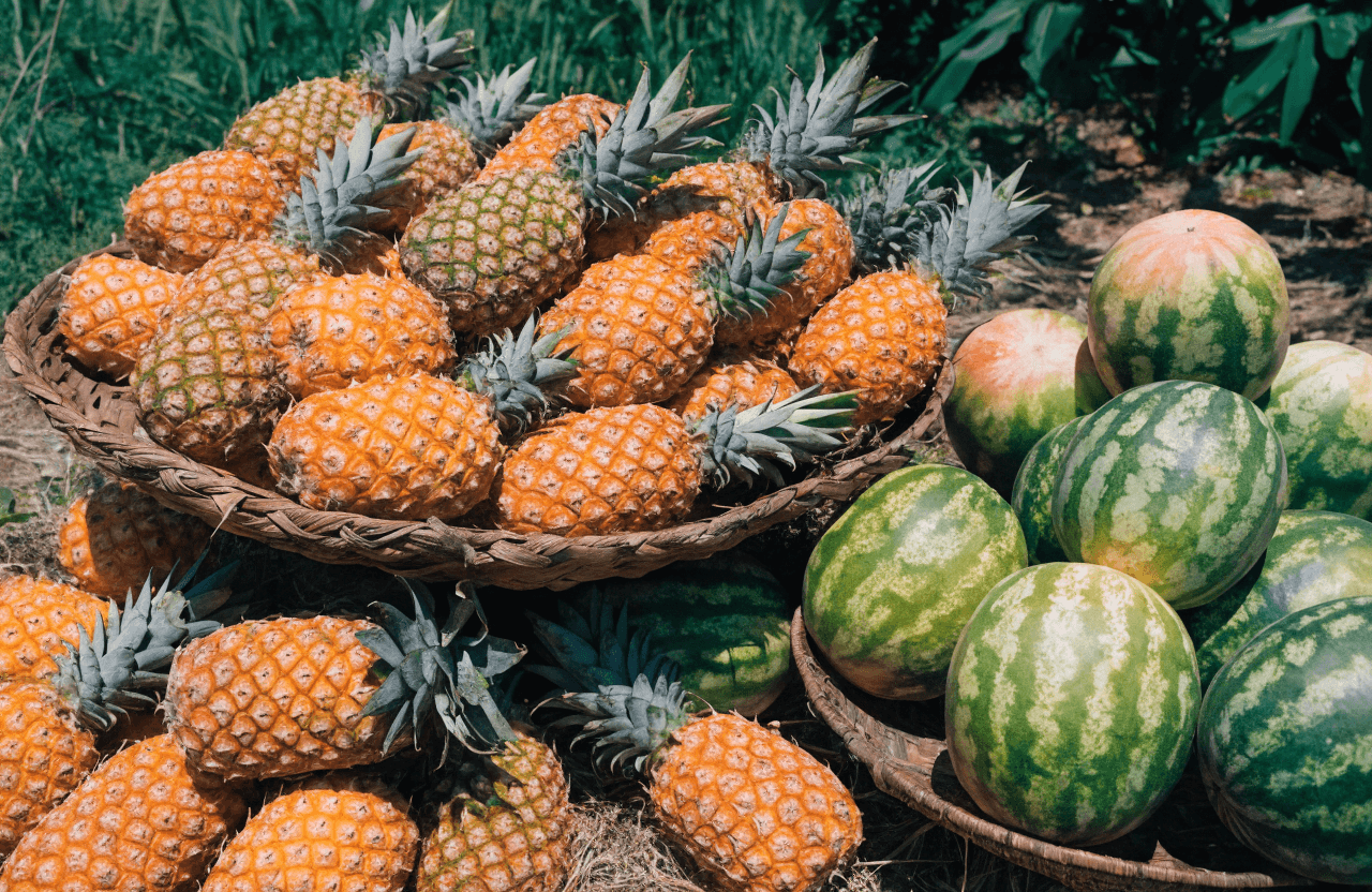 Ananas · Pastèque